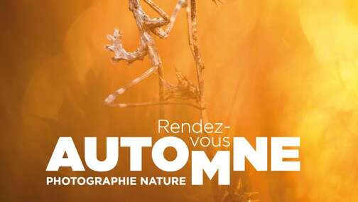 Rendez-Vous d'Automne : Festival de la Camargue et du Delta du Rhône