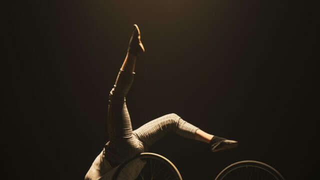Cirque - La bête noire / Petite reine
