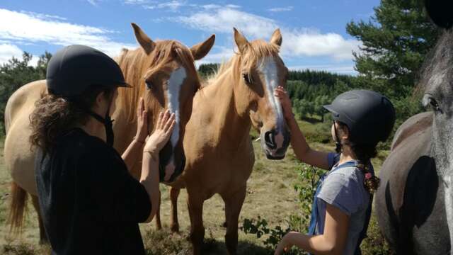 Balade à cheval - Ferme équestre de Montcodiol