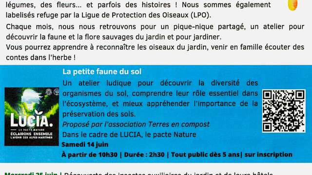 Activités au jardin partagé