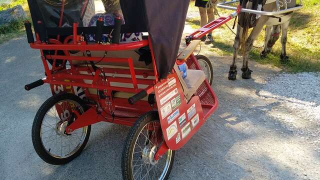 Balades autour du lac en escargoline