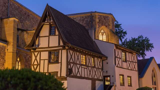 Roanne, les façades à la nuit tombée