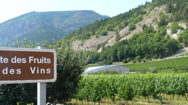 La Route des Fruits et des Vins - Hautes-Alpes