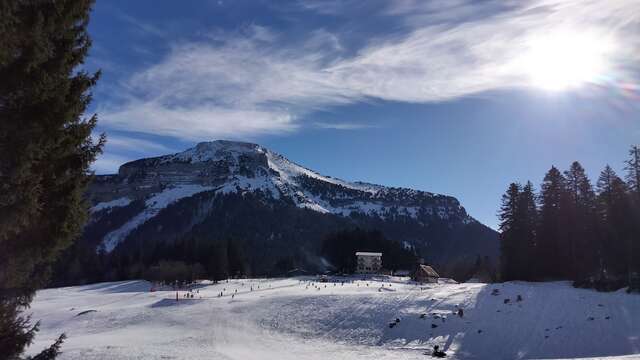 Cours privés Ski alpin - à partir de 3 ans - ESF