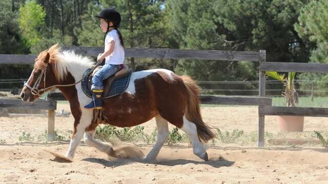 Balade à main par les écuries du Moulin Moreau