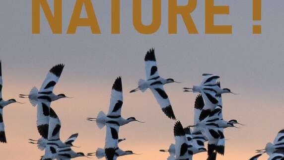 Sortie « Objectif Nature » - Marais de Loix