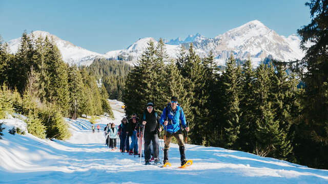 Randonnée en raquettes privée