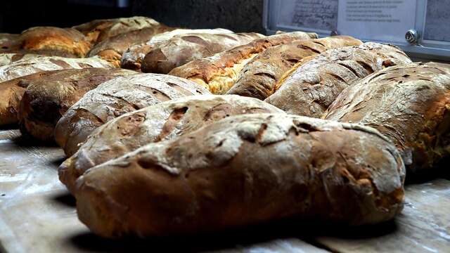 Cuisson du pain au four communal de Fontgillarde