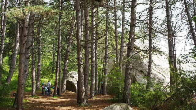 Sentier Patrimonial Forestier de Céüse