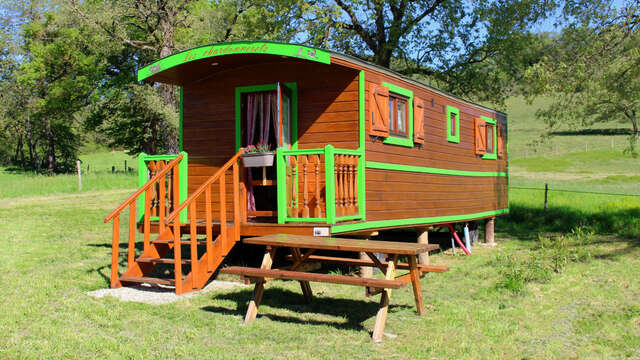 Trailer "Les Chardonnerets"