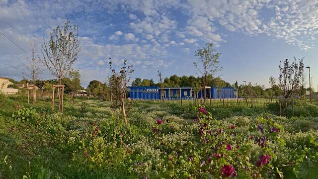 Visite guidée de la forêt enchantée