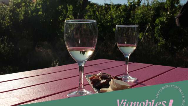 Brasero dans les vignes du Domaine Pradelle