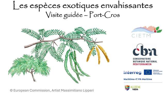 Passeggiata naturalistica Port-Cros: i tesori del Var in pericolo