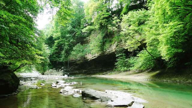 Les gardiens du Chéran l Renc'Arts du Parc
