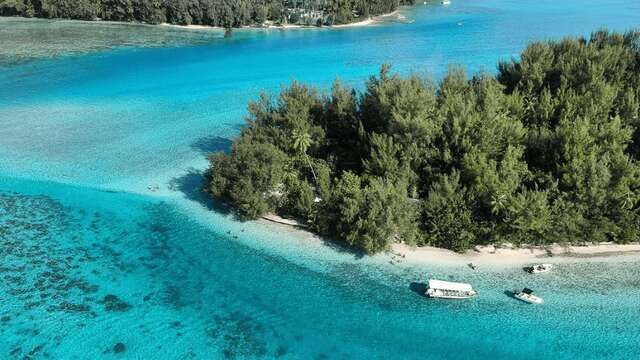 Moorea Mahana Tours