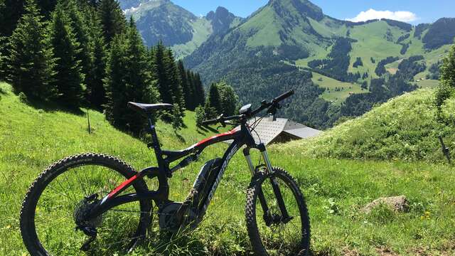 Borne VAE & VTT électrique  - Col de Bassachaux