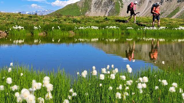 Arielle Raguideau Sentiers Nature