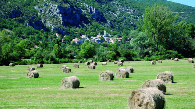 Le village de Monieux