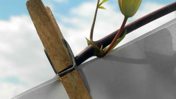 Atelier - La grande lessive