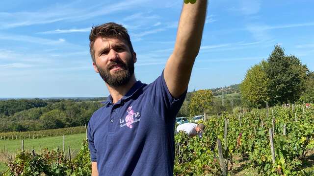 La Cave de Corentin Bouilloux - Vigneron