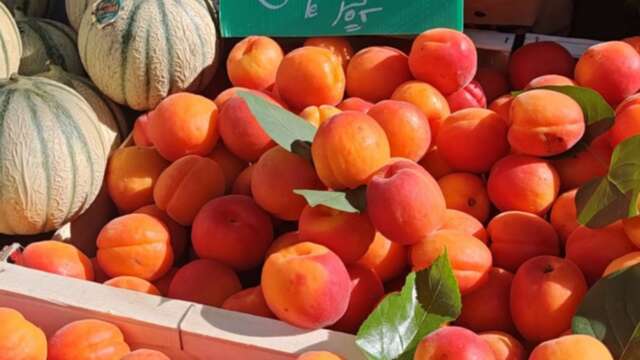 Market tour and local products