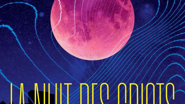 Festival La nuit des griots