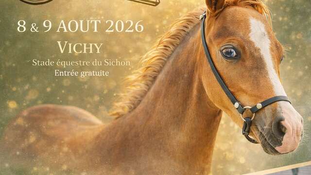 Championnat de France des Chevaux Miniatures
