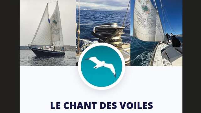 Des Voiles et l'art