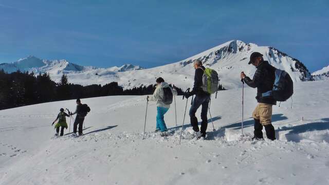 Sortie raquettes en vallée d'Abondance