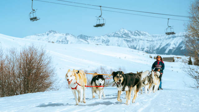 Balade en chiens de traineau avec White Forest
