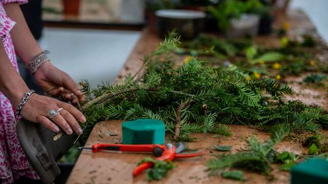 Folie(s) Végétales 2026 - Atelier greffe d'arbres