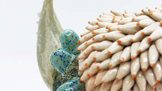 Démonstration et visite, Cathy Marre céramiste #1 - Journées Européennes des Métiers d'Art