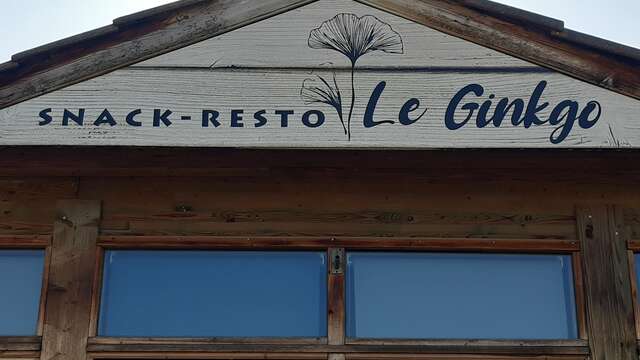 Le Ginkgo