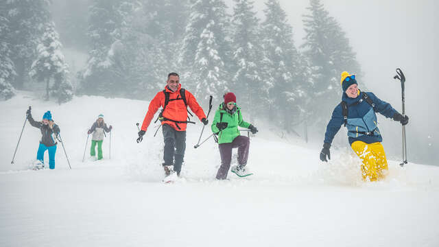 Pincerie - Crêt du boeuf