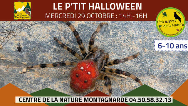 Les P'tits Experts de la Nature® - Le P'tit Halloween