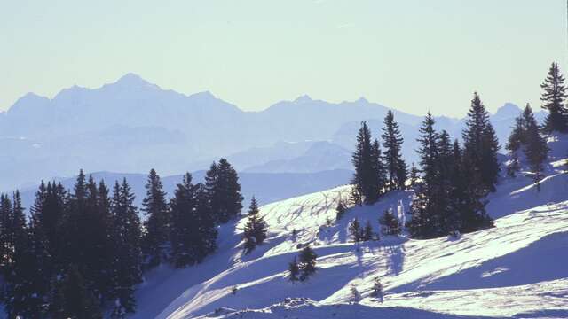 Twilight hike with Francis