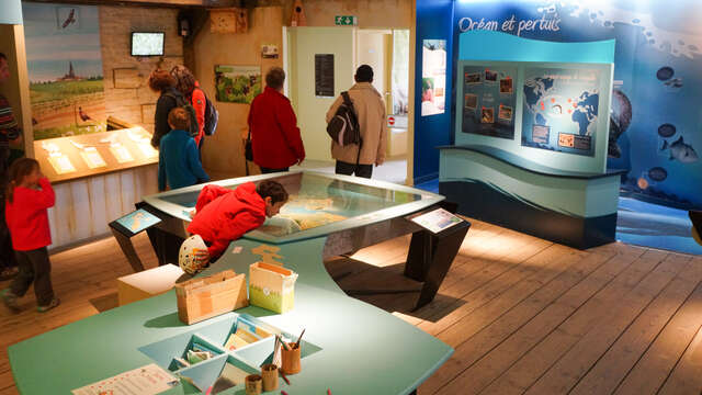 Maison du Fier Museum: exhibition on the biodiversity of the Ile de Ré