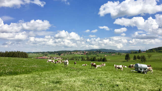 Parcours 32 - La Coquille