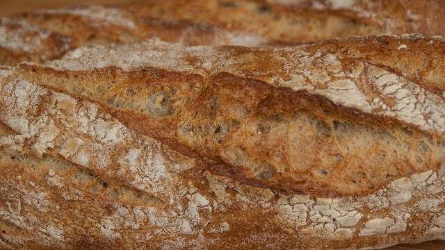 Les Douceurs de Malause