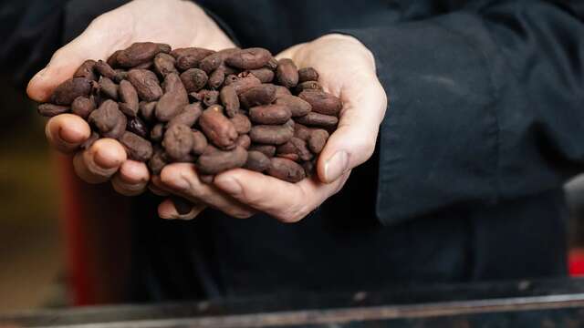 Visites exclusives de la Chocolaterie Morin