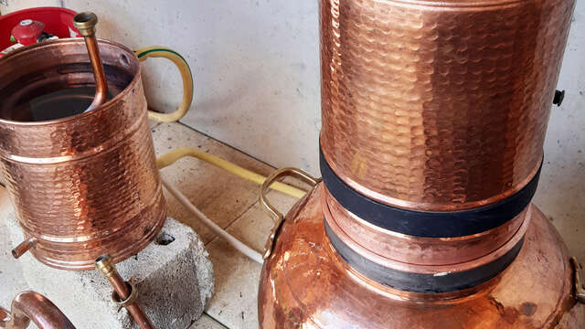 Atelier distillation de plantes médicinales