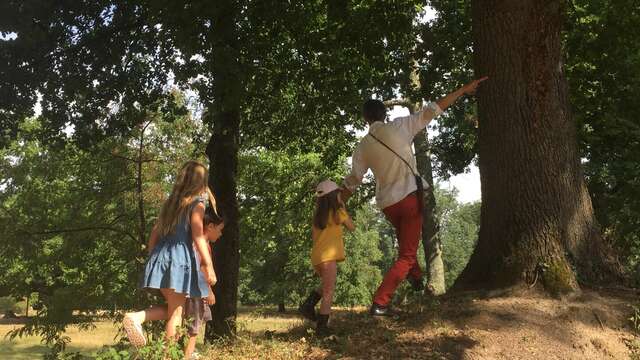 Musique en chemin... au château d'Aulteribe
