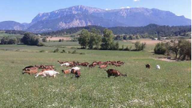 De Ferme en Ferme - Le Mas d'Ambane