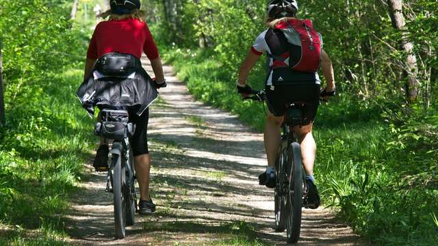Locations de vélos au Parc Usson Aventures