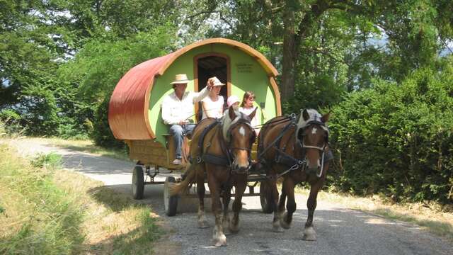 Vacances en roulotte itinérante avec chevaux et meneur