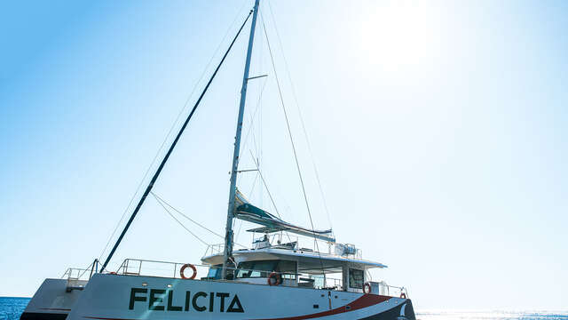 Sortie catamaran journée Iles de Lérins