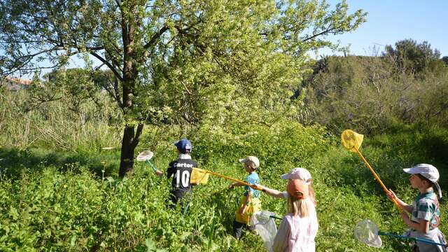 Le petit parcours dans le maquis (visite guidée spécial enfants)