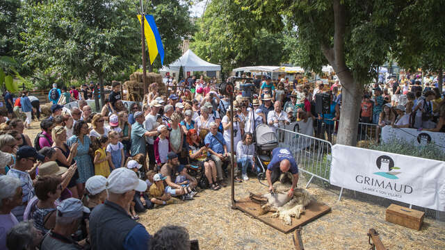 Foire de la Laine