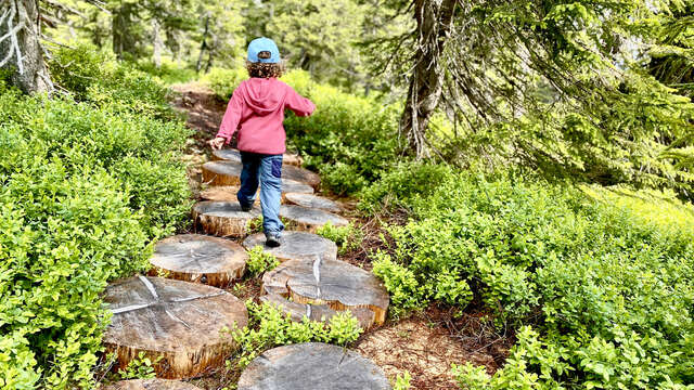 Arpelières trail