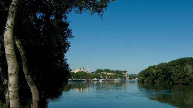 L'Île de la Barthelasse-balade à vélo-4